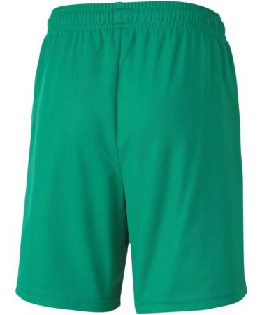 PUMA Boys teamGOAL 23 Knit Shorts - Jr Shorts 140 in Pepper Green | Shop Internationally - Buy Online on GoSupps.com