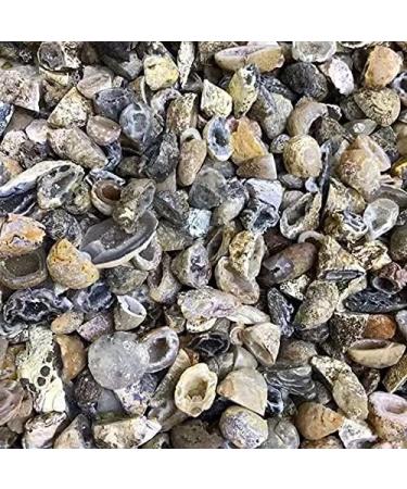 Natural Small Rough Stone raw Crystal Agate geode 10pc - Buy Online on GoSupps.com