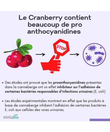 Physionorm Cranberry - Complement Alimentaire pour Femme Contre Infections Urinaires - Renforce la Flore Intestinale - Probiotique Ferments Lactiques & Vitamine B2-30 ge lules - Buy Online on GoSupps.com