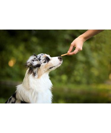 Buy 8in1 Fillets Pro Digest Dog Snacks - Chicken Treats for Digestion - 80g Pack - Functional Dog Treats - Buy Online on GoSupps.com