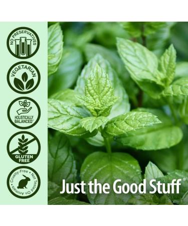 Natura's Answer PerioBrite Dentifrice naturel Charbon de bois Menthe poivr e 113 4 g - Buy Online on GoSupps.com