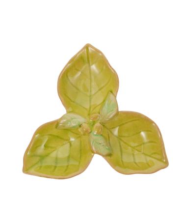 Baluue 1pi ce Bol Pour Huiles Essentielles Plateau De Salon De Bol De Pour Soins Aromath rapeutiques Pour Spa Et Soin Visage Couleur Verte
