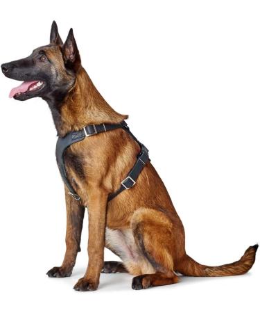 HUNTER Aalborg Leather Dog Harness - Black ML/1 | Premium Comfort & Style for International Shipping - Buy Online on GoSupps.com