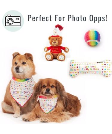 Dog Birthday Party Set - 6-Piece Happy Bday Celebration Pack with Toys, Crown, Party Hat, and Bandana (Large) - Buy Online on GoSupps.com