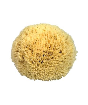 Natural sponge bath sponge Kosmetex from the Mediterranean in various sizes 16 cm