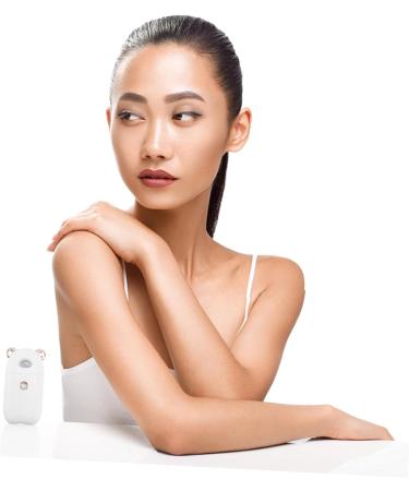 FRCOLOR 3 Pcs Beauty Humidifier Hand Held Steamer Nano Steamer Moisturizing Mister Face Hydrating Instrument - Buy Online on GoSupps.com