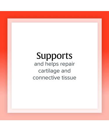 Natural Factors MSM Joint Formula - 180 Capsules for Joint Support & Mobility - Buy Online on GoSupps.com
