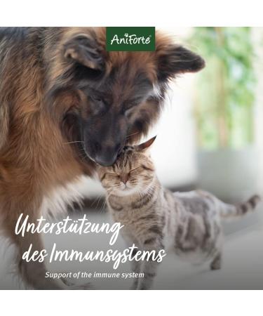 AniForte MultiVETAL Multivitamin for Dogs Cats 250 tablets - Multi-vitamins and natural nutrients for an optimal intake support of natural defenses - Buy Online on GoSupps.com