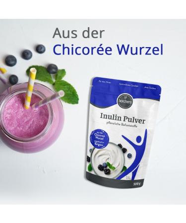 Borchers Inulin Powder - 500g | Vegan Vegetable Fiber | Enhance Digestive Health | Order Internationally - Buy Online on GoSupps.com