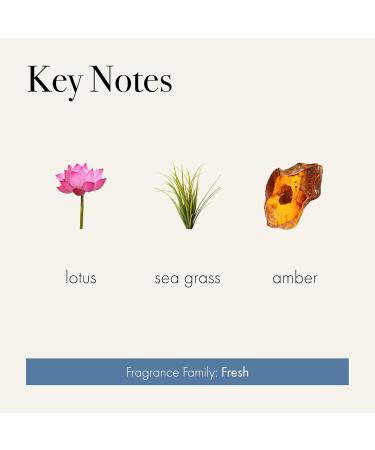 LAFCO New York Pura Smart Device Refill - Sea & Dune | 2 Weeks of Lasting Fragrance | Made in the USA | International Shipping Available - Buy Online on GoSupps.com