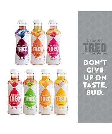 Organic Blueberry Treo Fruit & Birch Water Drink - Pack of 12 | Non-GMO, Vegan, Gluten-Free with Vitamin C | 10 Calories & 1g Sugar per Serving - Buy Online on GoSupps.com