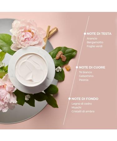  BIOPOINT Biopoint - Moisturizing Rich Body Cream Moisturizing Action for up to 100 Hours Strengthens and Balances the Skin Barrier 400 ml - Buy Online on GoSupps.com