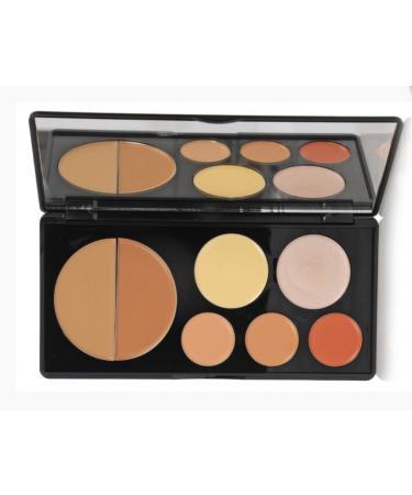 EVE PEARL Flawless Face Palette Foundation Concealer Blush all in one palette-TAN 8oz
