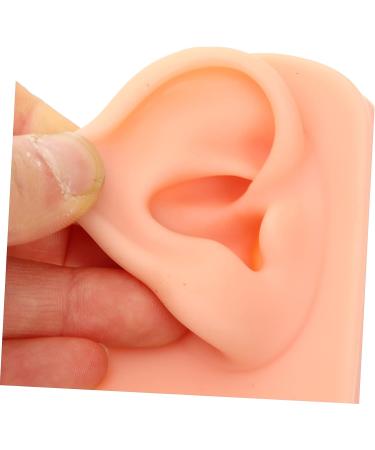 ULTECHNOVO Simulation Ear Model for Earring Display Practice - Khaki Silica Gel Artificial Ear Piercing Silicone Body Parts - Buy Online on GoSupps.com