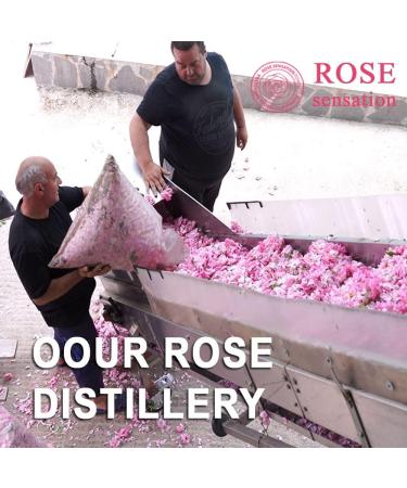 Buy 100% Natural Rose Water Anti-Aging Toner 16 Fl Oz | Wholesale for All Skin Types - Buy Online on GoSupps.com