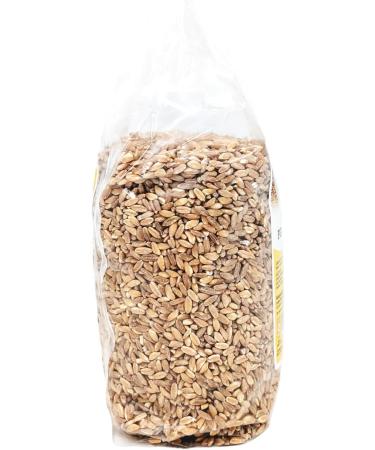 Oltresole - Organic Italian pearl spelt 1kg - Organic wheat rich in fiber and protein made in Italy ideal for sweet and sav - Buy Online on GoSupps.com