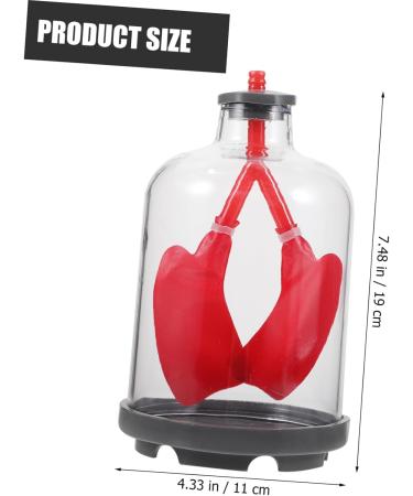 Healifty Lung Breathing Model - Sports & Work Teaching Aid | Plastic & Rubber - Buy Online on GoSupps.com