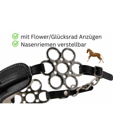 AMKA Hackamore Flora Bitless Bridle - Soft Padded Black Hackamore with Flower Wheel | International Shipping Available - Buy Online on GoSupps.com
