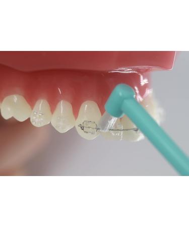 Premium Interdental Brushes for Braces & Dental Implants - Soft Bristle Mini Toothbrush Set (3 Pieces) - Made in Japan - Buy Online on GoSupps.com