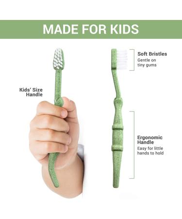 ROARex All-Natural Eco Friendly Kids Toothbrush - Dinosaurs 4-36m - Baby to Toddler - Blue/Green - 4pk | 1% for The Planet - 4 Count - Buy Online on GoSupps.com