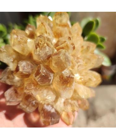 Natural Crystal Rough Natural Raw Citrine Quartz Stone Crystal Cluster Yellow Stones Specimen Home Decoration (Size : 400-500g) - Buy Online on GoSupps.com