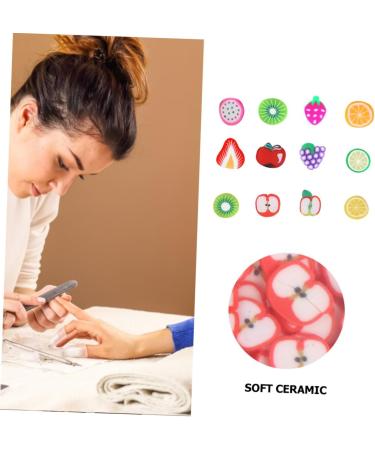 FOMIYES 4800 Pcs 12 Fruit Sliced nail Art Accessories Nails Flower Decor Manicure Art Diy Slices Nail Manicure Fruits Slices Diy Manicure Decals Nail Fruit Resin Charm Flowers - Buy Online on GoSupps.com