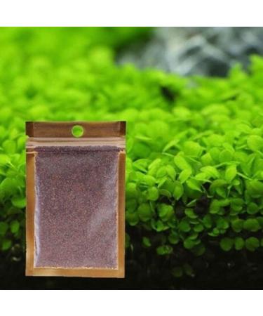 Haloppe 600 Pcs Water Grass Flowers Plant Seeds | Aquatic Plants for Home Garden & Aquarium Decoration - Buy Online on GoSupps.com