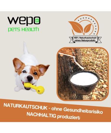 Wepo Ball with Cord - Orange Rubber Dog Toy for Large Dogs | Spinning & Throwing Toys | Dental Care Function | Ideal for Garden Play - Buy Online on GoSupps.com