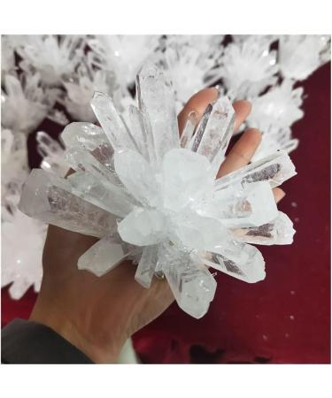 Natural Crystal Rough Very Beautiful Natural Raw Quartz White Clear Stones Point Home Decoration Raw Crystals (Size : 500-600g) (Size : 500-600g) - Buy Online on GoSupps.com