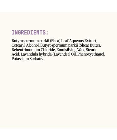 Everyday Shea Conditioner - Lavender Scent, 16 fl oz | Natural Moisturizing Hair Care - Buy Online on GoSupps.com