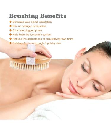 Shower Brush Set for Soft Glowing Skin - Body & Back Scrubbers for Wet/Dry Brushing - Natural Bristles - Improve Blood Circulation - Includes Long Handle & Round Bath Brush - Buy Online on GoSupps.com