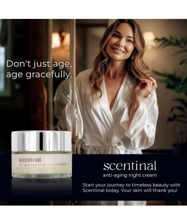 Scentinal Anti-Aging Night Cream with Hyaluronic Acid - Overnight Rejuvenation for Radiant Skin - 50ml/1.7oz | International Shipping Available - Buy Online on GoSupps.com