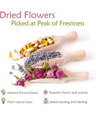 21 Pack Natural Dried Flowers for Candle, Soap, Bath, and Resin Jewelry Making - Lavender, Rose Petals, Rosebuds, Leaves, Lemon - Bulk Dried Herbs Kit - Buy Online on GoSupps.com