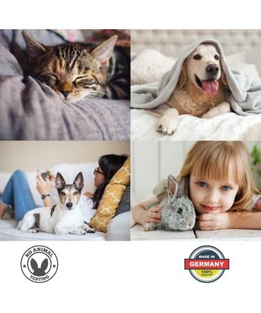 2 x 500ml Linozz Animal Odor Neutralizers | Eliminate Cat Urine & Dog Smells | Vegan Fresh Air Spray | Litter Box Deodorant - Buy Online on GoSupps.com