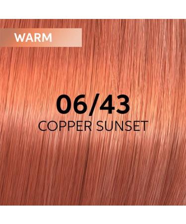 Wella Shinefinity Zero Lift Glaze 60ml 06/43