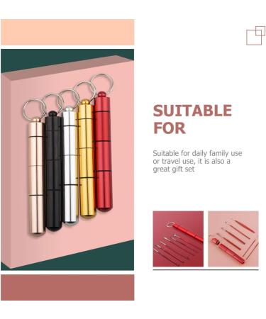 FRCOLOR 1set Stainless Steel Ear Cleaning Kit with Travel Case - Portable and Comfortable Earwax Removal Tools - Buy Online on GoSupps.com