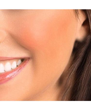 SHANY Paraben Free Powder Blush Classic - Buy Online on GoSupps.com