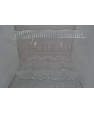 12 Compartment Cupcake Container with Hinged Lid - Clear Plastic Disposable Box for Dozen Cupcakes - Buy Online on GoSupps.com