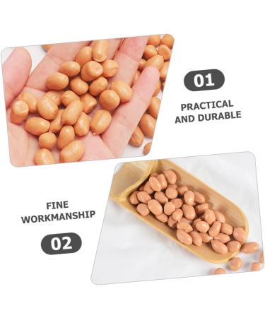 ABOOFAN 2pcs 1 Simulation Peanut Simulated Nut Artificial Groundnut Kernels Fake Dried Fruits Imitation Peanut Adornment Scene Adornment Simulation Fake Fruit Fake Nut Model Corn Pvc - Buy Online on GoSupps.com