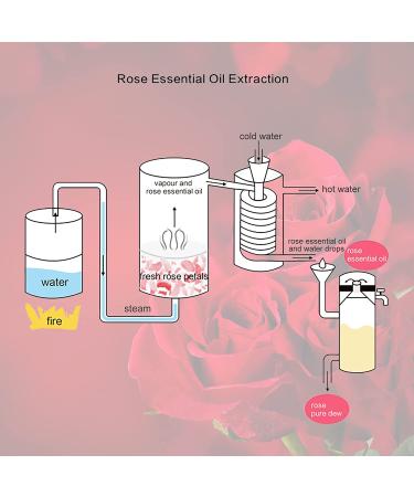 100% Pure Rose Essential Oil for Skin - 10ml Therapeutic Grade Aromatherapy Oil for Diffuser, Soap & Candle Making - Buy Online on GoSupps.com