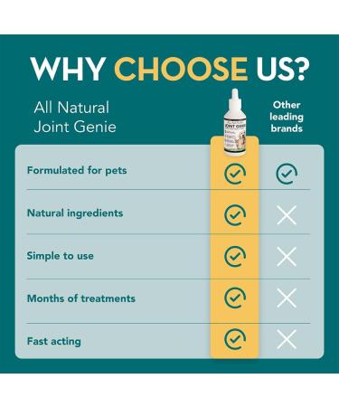 The Healthy Dog Co Joint Supplements for Dogs with Turmeric - 100ml - Buy Online on GoSupps.com