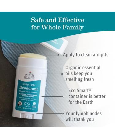 Earth Mama Ginger Fresh Deodorant | Safe for Sensitive Skin Pregnancy and Breastfeeding Contains Organic Ginger and Lime No Baking Soda or Aluminum 2.65-Ounce NEW Ginger Fresh 2.65 Fl Oz (Pack of 1) - Buy Online on GoSupps.com