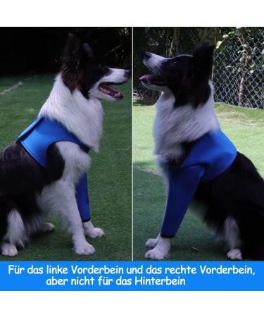 Dogs Recovery Suit - Cone Collar Alternative Abrasion-Resistant Waterproof Washable | Prevents Licking & Infection (Blue M) - Best for Pet Wounds - Buy Online on GoSupps.com