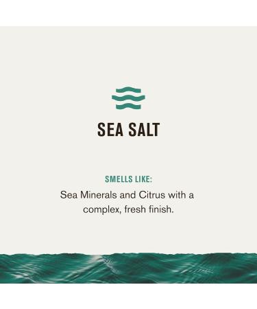 Every Man Jack Beard Oil for Men - Subtle Sea Salt Scent - Moisturizes Softens & Adds Shine - Natural Ingredients with Shea Butter & Coconut Oil - 1oz - Buy Online on GoSupps.com