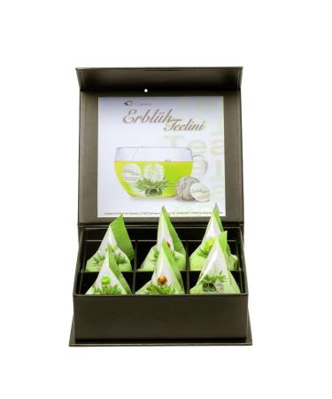 Creano 6 Teablumen Gift Box - Premium Green Tea Variety in Elegant Magnetic Box | 4 Types of Tealinis | Perfect Gift Idea - Buy Online on GoSupps.com