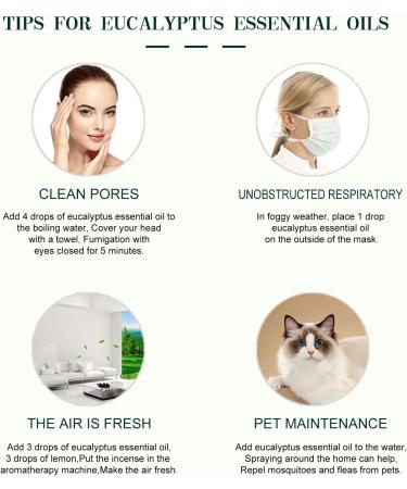 Heytree Eucalyptus Essential Oil 100ml - Breathe Easier Relieve Tension Aromatherapy with Diffuser - Buy Online on GoSupps.com