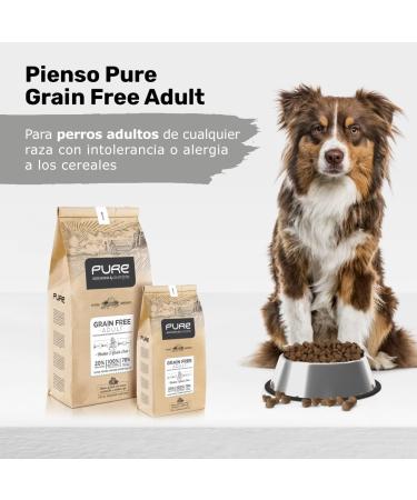 Avantis Pet Pure Grain Free Adult Dog Food for Adult Dogs of All Breeds 2 kg 100% complete and balanced food with Chicken and without cereals for dogs suffering from intolerance and - Buy Online on GoSupps.com