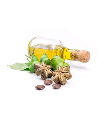 Sweet Essentials Organic Unrefined Sacha Inchi Oil 2oz | 100% Pure Cold-Pressed Beauty Oil | Natural Moisturizer for Skin Hair & Nails | Imported from Venezuela - Buy Online on GoSupps.com