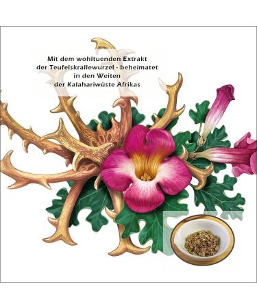 Cristinenmoor Devil Claw Balm 500ml - 100% Natural South African Formula for Joint Care & Scaly Skin - Infused with Olive Lavender & Rosemary Oil - Buy Online on GoSupps.com