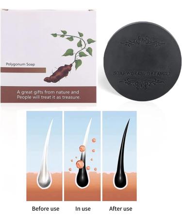 DUBUSH Blackening Shampoo for Hair Organic Reverse Gray Shampoo Natural Shampoo and Conditioner Solid Shampoo Against Hair Loss for Women and Men. - Buy Online on GoSupps.com